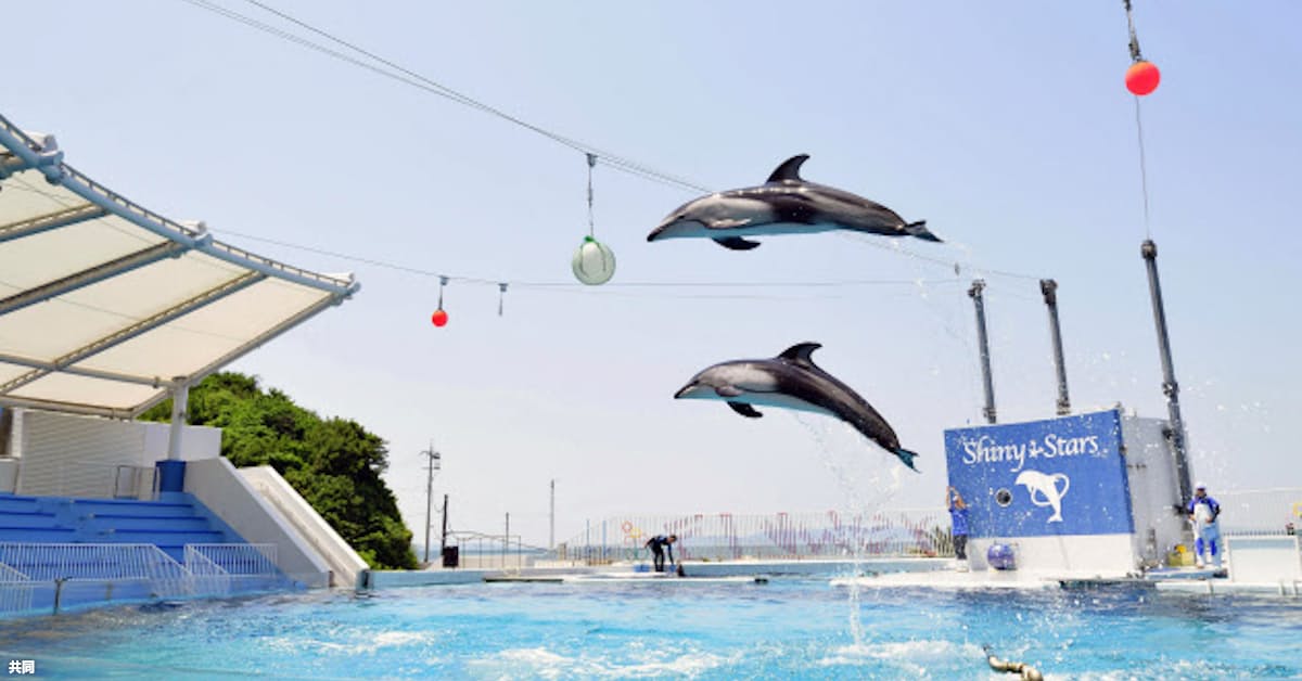 みさき公園が3月で閉園 動物450頭 他施設へ 日本経済新聞