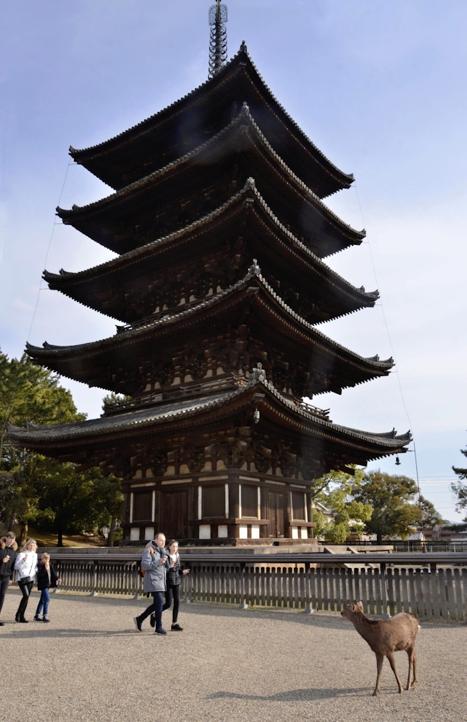 興福寺五重塔を修理へ 奈良県 調査の予算計上 日本経済新聞