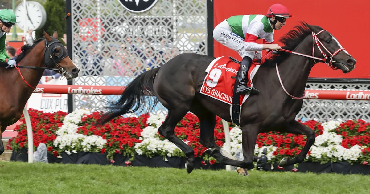 海外馬券 遠征積極化で売り上げアップ 地域で格差も 日本経済新聞 海外馬券 遠征積極化で売り上げアップ 地域で格差も 日本経済新聞