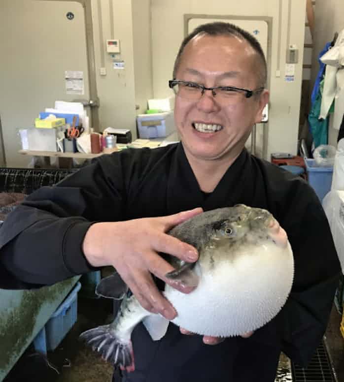トラフグを観光資源に 日間賀島観光協会の井戸田さん 日本経済新聞