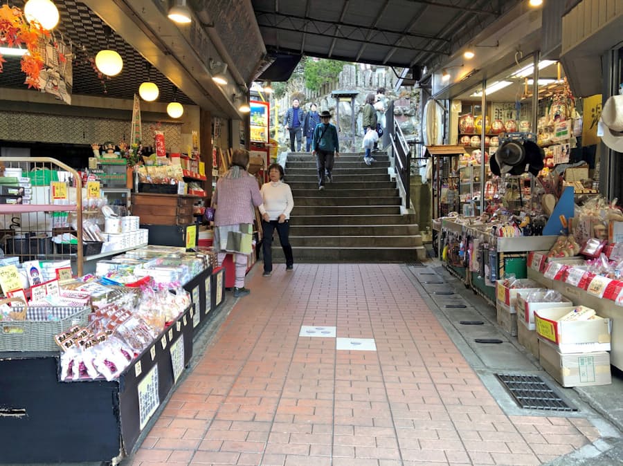 神奈川の大山詣り 観光客の心つかむ ガイドツアーも 日本経済新聞