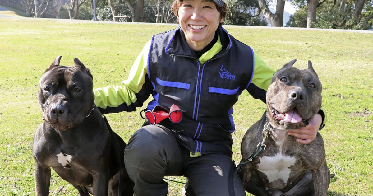 危険な犬 実は従順 警察の不明者捜索に協力 日本経済新聞 危険な犬 実は従順 警察の不明者捜索に協力 日本経済新聞