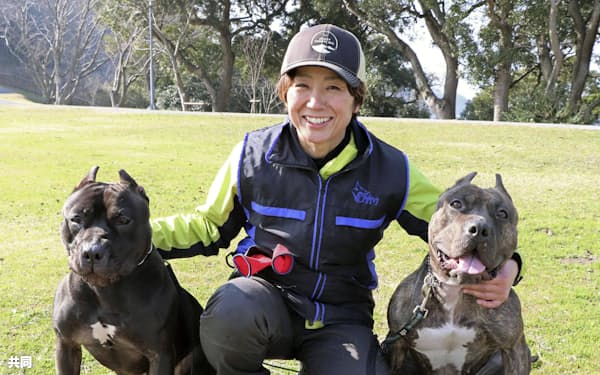 ピットブル のニュース一覧 日本経済新聞