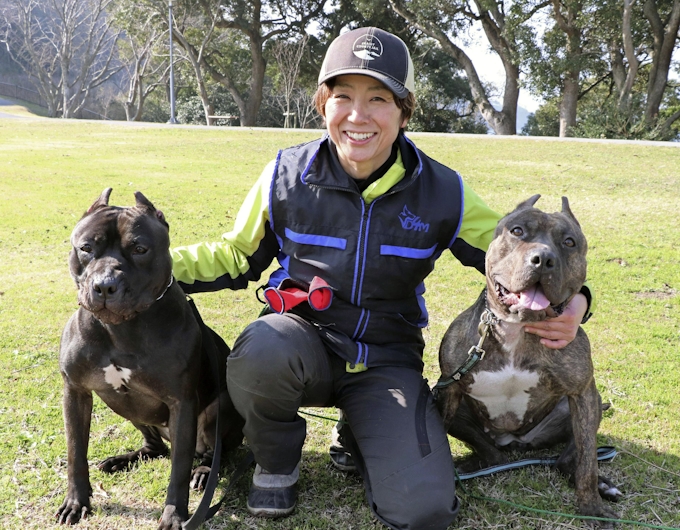 危険な犬 実は従順 警察の不明者捜索に協力 日本経済新聞