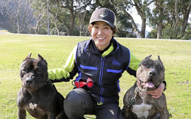 危険な犬 実は従順 警察の不明者捜索に協力 写真 共同 日本経済新聞