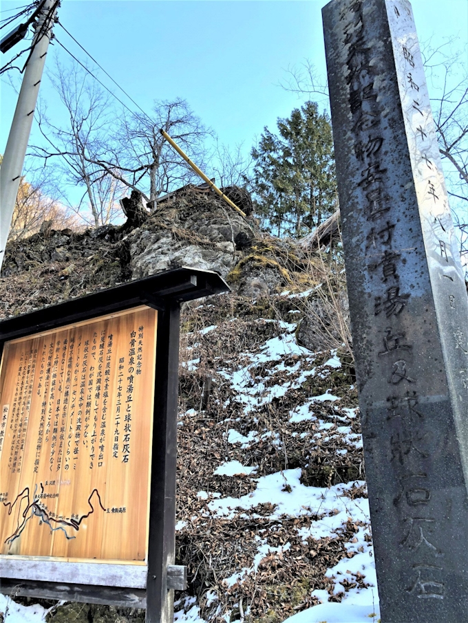 松本市 白骨温泉の特別天然記念物 保存活用計画を了承 日本経済新聞