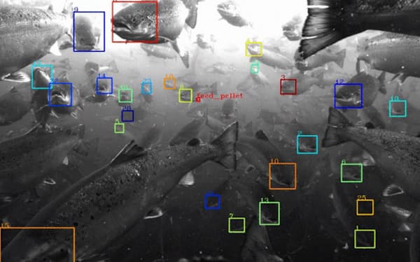 米アルファベットは数千匹の魚を追跡・監視できるシステムを開発した（アルファベット提供）