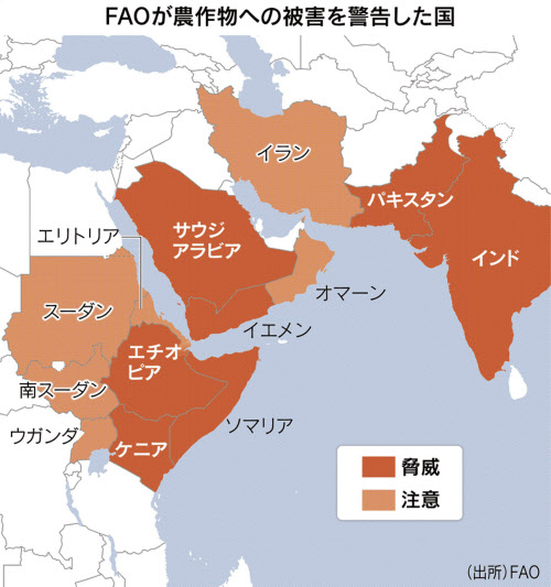 バッタ大量発生 農作物の被害拡大 日本経済新聞