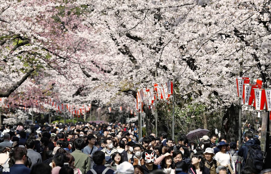 新型コロナ お花見の宴会自粛を 都が呼びかけ 公園や河川で 日本経済新聞