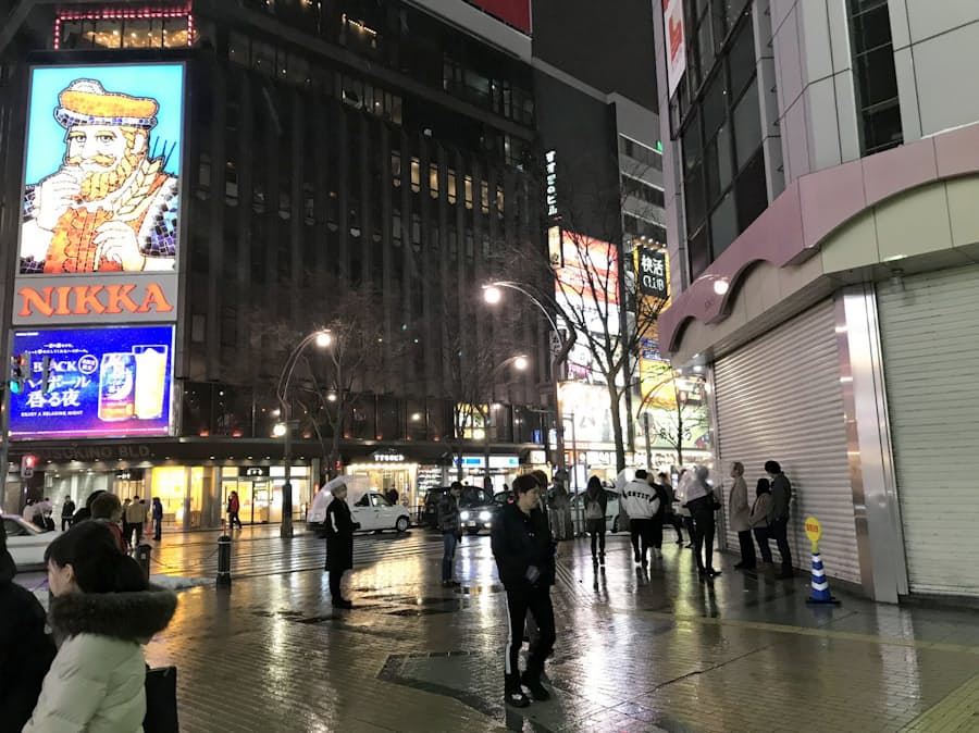 新型コロナ 夜のすすきの冬景色 コロナ直撃の最前線 日本経済新聞