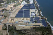 約18万平方メートルの敷地に20メガワットの太陽光発電パネルを設置した 約18万平方メートルの敷地に20メガワットの太陽光発電パネルを設置した