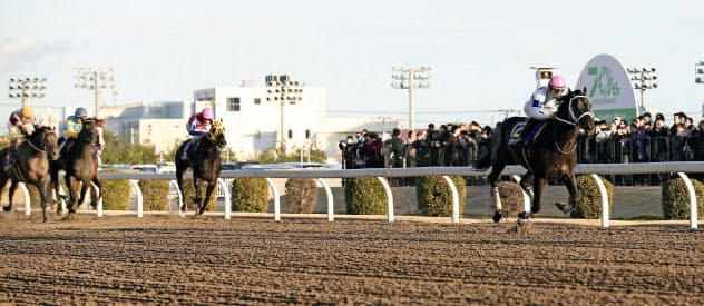 川崎競馬 売上金が3年連続で過去最高 19年度 写真 共同 日本経済新聞 川崎競馬 売上金が3年連続で過去最高 19年度 写真 共同 日本経済新聞