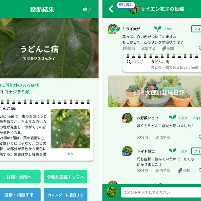 野菜の病害虫診断アプリ 名古屋のミライ菜園が提供 日本経済新聞 野菜の病害虫診断アプリ 名古屋のミライ菜園が提供 日本経済新聞