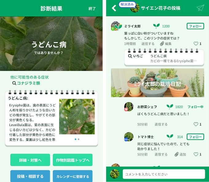 野菜の病害虫診断アプリ 名古屋のミライ菜園が提供 日本経済新聞