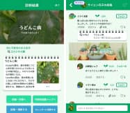 写真を撮影すると診断結果が分かる機能を持つ 写真を撮影すると診断結果が分かる機能を持つ