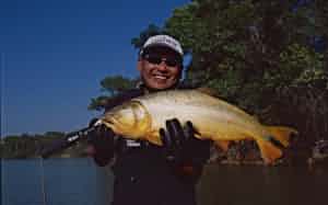 苦心の末に釣り上げた全長68センチ、重さ5キロのドラド(2004年) 苦心の末に釣り上げた全長68センチ、重さ5キロのドラド(2004年)