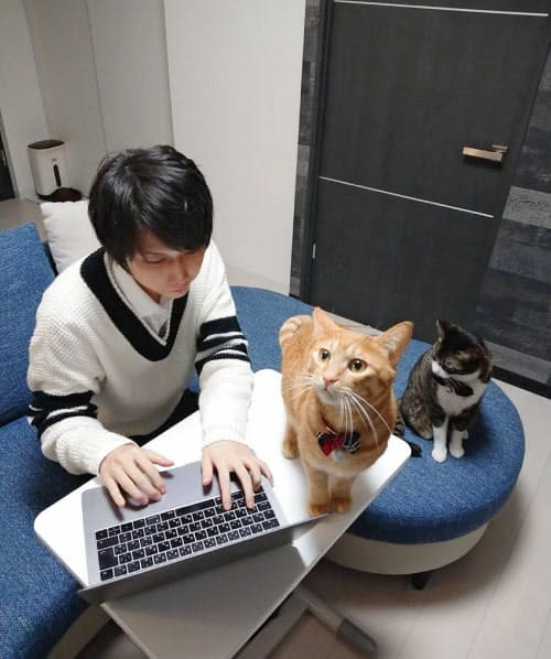 2匹の猫と共に札幌市の自宅で働く社員の藤本さん