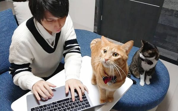 2匹の猫と共に札幌市の自宅で働く社員の藤本さん