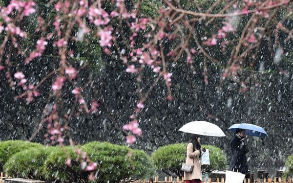 東京都心の冷たい雨は雪にかわった(14日、東京都千代田区)