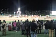 大井競馬は夜間レースでも知られる(東京都品川区) 大井競馬は夜間レースでも知られる(東京都品川区)