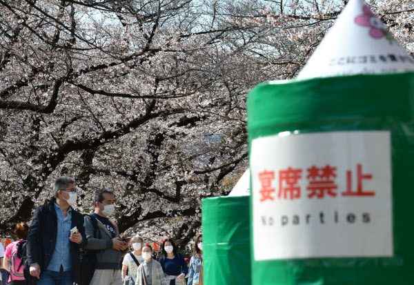 新型コロナ 桜ちょっぴり寂しげ 宴会自粛 自宅で花見も 日本経済新聞