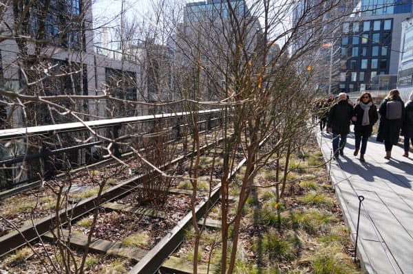 かつての貨物鉄道の線路が残り、植物が育つ