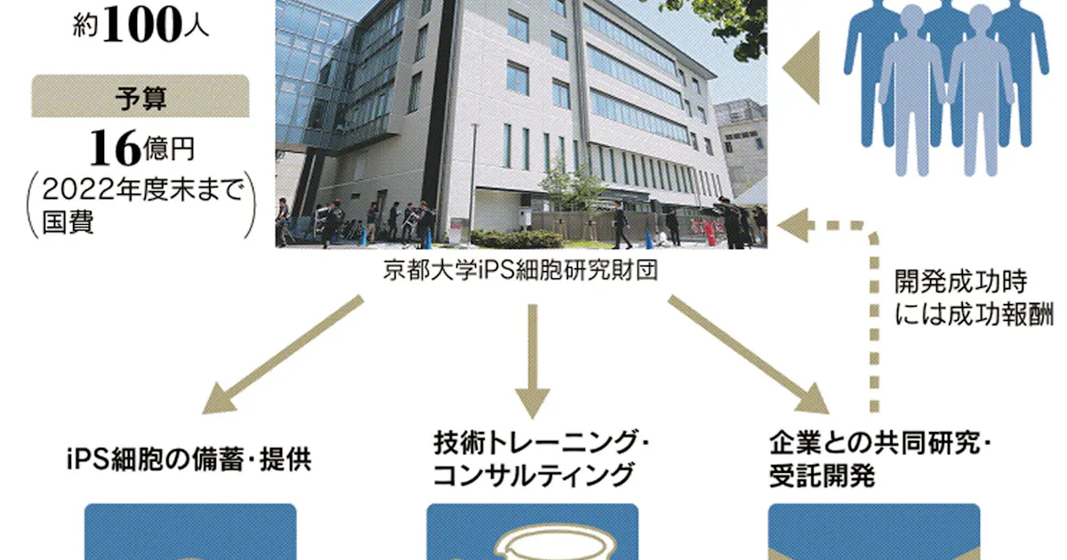 Ips再生医療を安く早く 細胞提供継続へ京大が財団 日本経済新聞