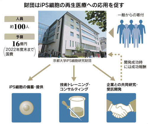 Ips再生医療を安く早く 細胞提供継続へ京大が財団 日本経済新聞