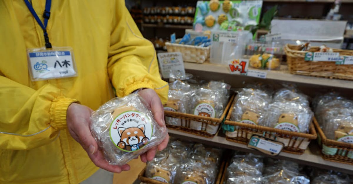 レッサーパンダの菓子人気 日本平動物園 静岡市 日本経済新聞