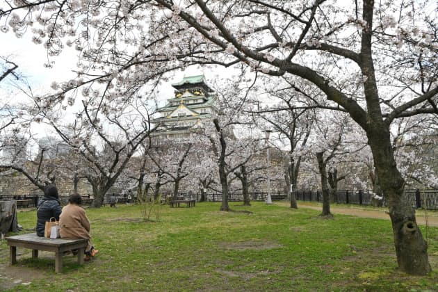 花見客が少ない大阪城公園の西の丸庭園(29日、大阪市中央区)