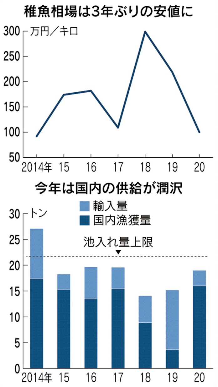 ウナギ 今夏は安く 稚魚 漁獲4倍 約半値に 日本経済新聞 ウナギ 今夏は安く 稚魚 漁獲4倍 約半値に 日本経済新聞