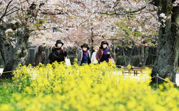 舞鶴公園で散歩する人たち(8日午後、福岡市)=沢井慎也撮影