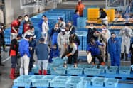 仲買人がかごに入れられた魚を次々と競り落としていった(8日、福島県浪江町) 仲買人がかごに入れられた魚を次々と競り落としていった(8日、福島県浪江町)