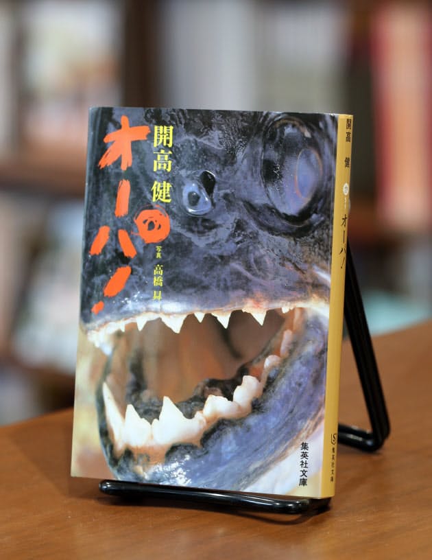 読めば家でも旅気分 旅情が味わえる紀行文学 Nikkei Style 読めば家でも旅気分 旅情が味わえる紀行文学 Nikkei Style