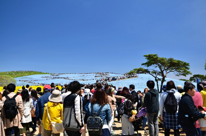 新型コロナ 北関東観光 Gwも試練 コロナでイベント中止や休園 日本経済新聞
