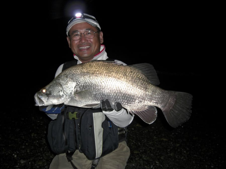 日本最大の淡水魚アカメ 釣り人魅了する巨体 日本経済新聞