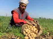 インドは20日から農業など一部の経済活動を再開する インドは20日から農業など一部の経済活動を再開する