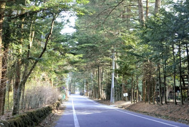 長野県軽井沢町の別荘地(8日)
