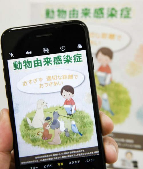 新型コロナ 新型コロナ もし感染したら ペットはどうなる 日本経済新聞