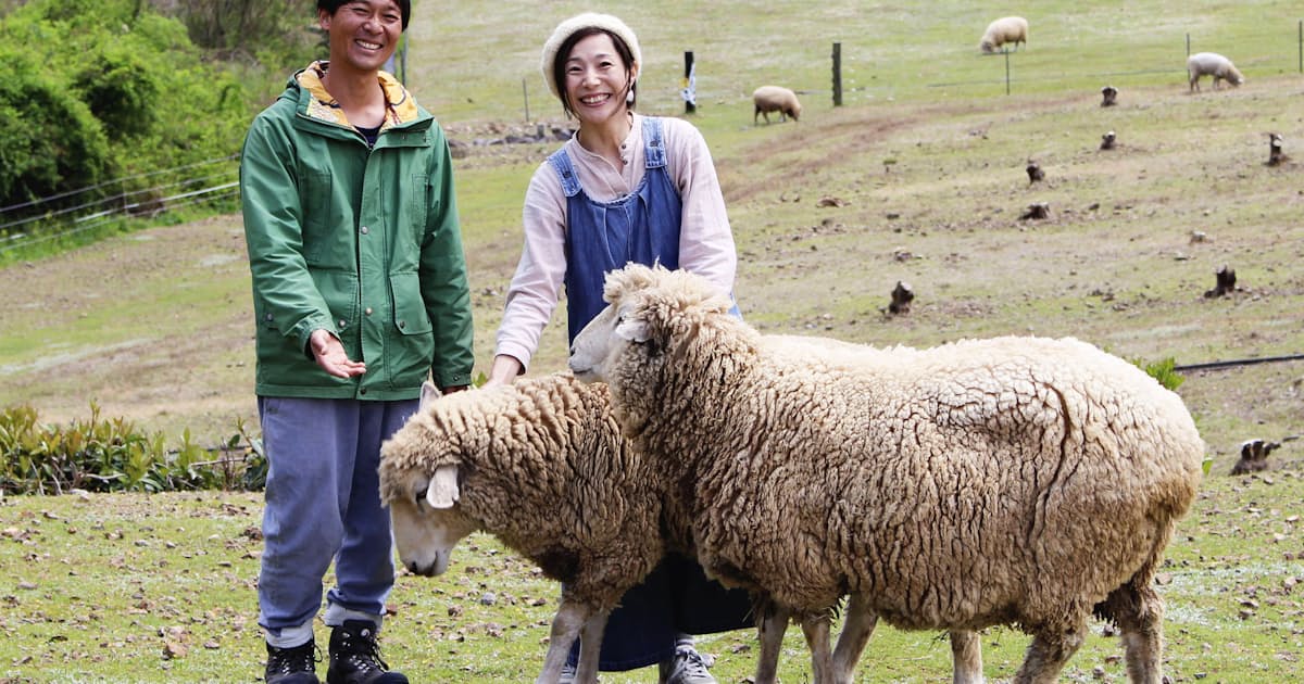 ヒツジ寿命まで飼育続ける 三重 御浜の牧場経営夫妻 日本経済新聞 ヒツジ寿命まで飼育続ける 三重 御浜の牧場経営夫妻 日本経済新聞