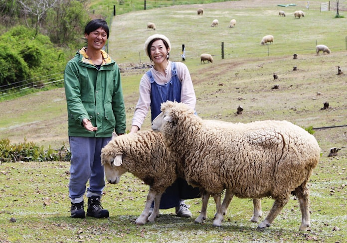 ヒツジ寿命まで飼育続ける 三重 御浜の牧場経営夫妻 日本経済新聞 ヒツジ寿命まで飼育続ける 三重 御浜の牧場経営夫妻 日本経済新聞