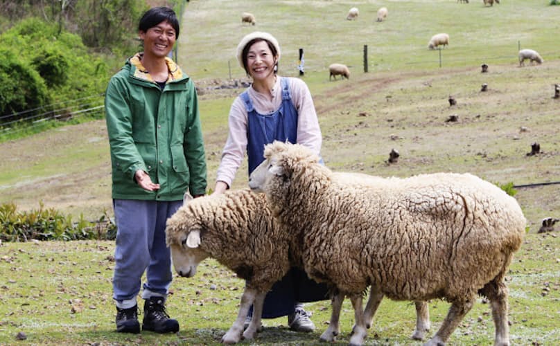ヒツジ寿命まで飼育続ける 三重 御浜の牧場経営夫妻 写真 共同 日本経済新聞