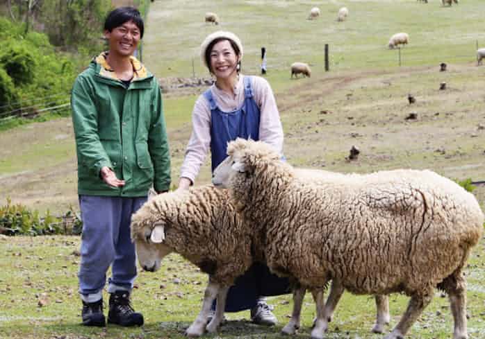 ヒツジ寿命まで飼育続ける 三重 御浜の牧場経営夫妻 日本経済新聞 ヒツジ寿命まで飼育続ける 三重 御浜の牧場経営夫妻 日本経済新聞