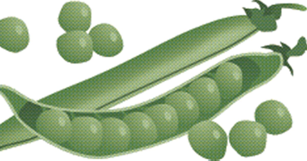 グリーンピース 栄養価高く 6月頃まで旬 日本経済新聞 グリーンピース 栄養価高く 6月頃まで旬 日本経済新聞