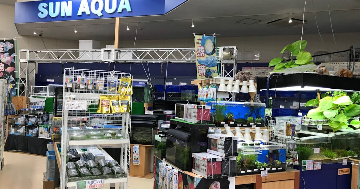 サンデー 新業態のペット総合専門店 日本経済新聞 サンデー 新業態のペット総合専門店 日本経済新聞