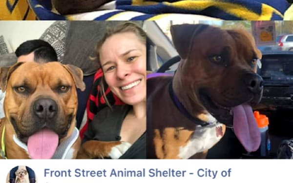 ミシェル キルパトリック のニュース一覧 日本経済新聞 ミシェル キルパトリック のニュース一覧 日本経済新聞