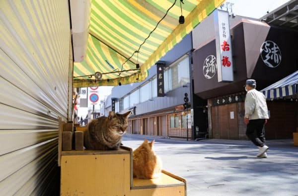 観光客の姿が消えた伊勢神宮内宮前のおはらい町通り。休業中の土産物店の棚で猫がくつろいでいた(25日午前、三重県伊勢市)