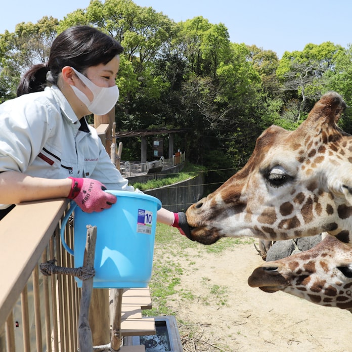 コロナで動物園苦慮 餌代負担重く 園内感染 も心配 日本経済新聞 コロナで動物園苦慮 餌代負担重く 園内感染 も心配 日本経済新聞