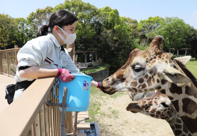 新型コロナ コロナで動物園苦慮 餌代負担重く 園内感染 も心配 日本経済新聞 新型コロナ コロナで動物園苦慮 餌代負担重く 園内感染 も心配 日本経済新聞