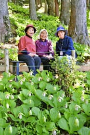 ラン科の希少植物クマガイソウの群生地で、運営費への協力を呼び掛ける平子清子さん(左)ら(8日、福島県いわき市)=共同 ラン科の希少植物クマガイソウの群生地で、運営費への協力を呼び掛ける平子清子さん(左)ら(8日、福島県いわき市)=共同